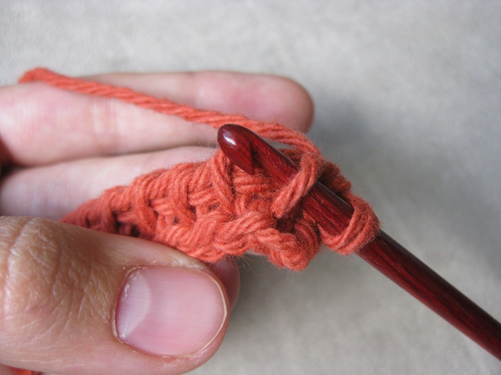 Tunisian crochet with two hooks – Loopholes