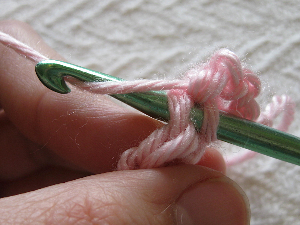 Crochet hook through a stitch, with a yarn over