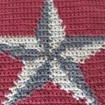 Five Pointed Gray and Silver Star on Red Background Crochet Washcloth