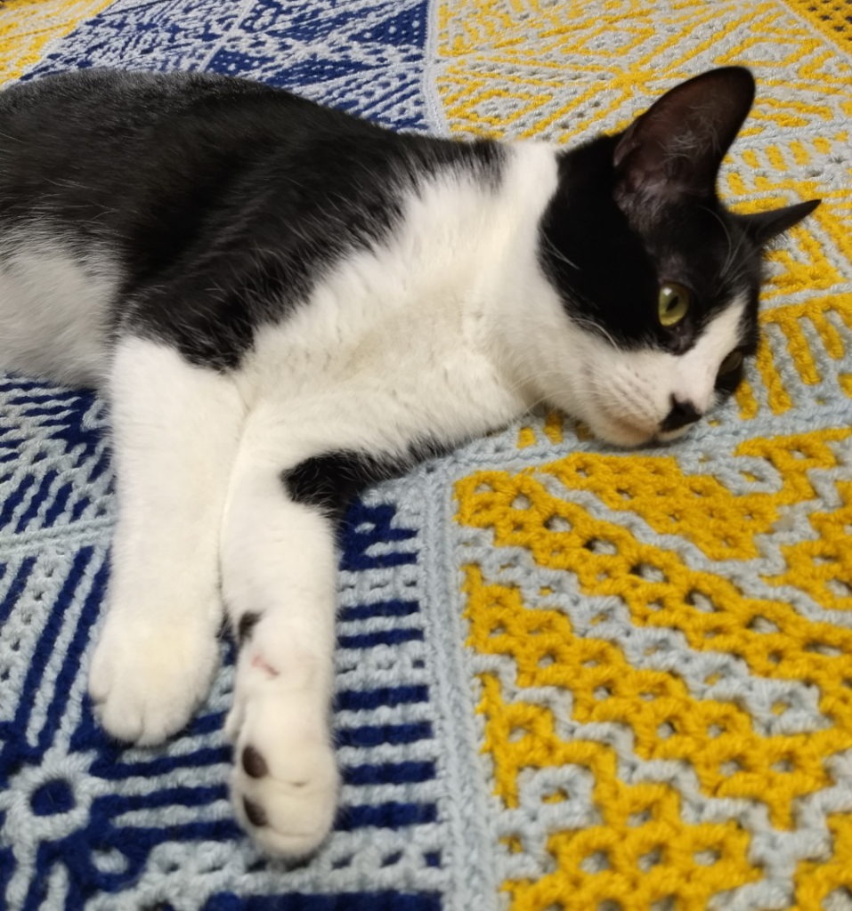 Black and White cat laying on a blue, yellow, and gray crocheted blanket